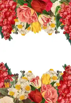 Efekt zdjęciowy z kategorii Ramki dla kobiet № 205744 Efekt zdjęciowy z kategorii Ramki dla kobiet № 205744