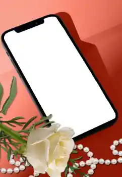 Efekt zdjęciowy z kategorii Ramki dla kobiet № 205752 Efekt zdjęciowy z kategorii Ramki dla kobiet № 205752