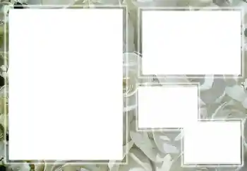 Efekt zdjęciowy z kategorii Ramki dla kobiet № 205789