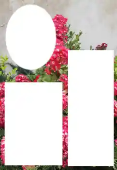 Efekt zdjęciowy z kategorii Ramki dla kobiet № 205800