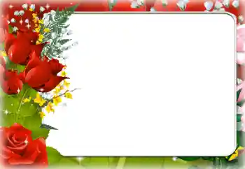 Efekt zdjęciowy z kategorii Ramki dla kobiet № 205834