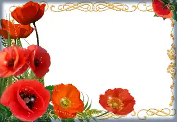 Efekt zdjęciowy z kategorii Ramki dla kobiet № 205838