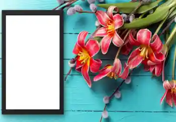 Efekt zdjęciowy z kategorii Ramki dla kobiet № 206174