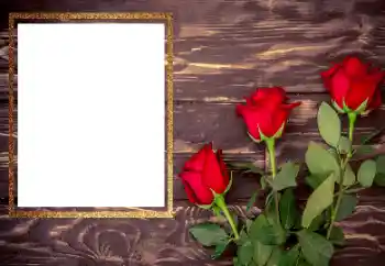 Efekt zdjęciowy z kategorii Ramki dla kobiet № 206175