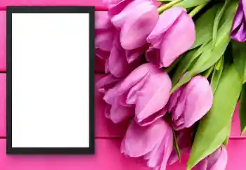 Efekt zdjęciowy z kategorii Ramki dla kobiet № 206179