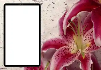 Efekt zdjęciowy z kategorii Ramki dla kobiet № 206184