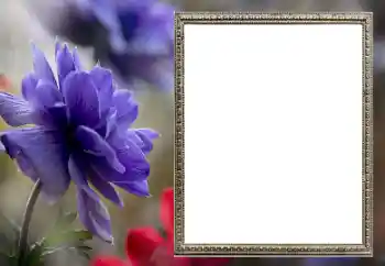 Efekt zdjęciowy z kategorii Ramki dla kobiet № 206189 Efekt zdjęciowy z kategorii Ramki dla kobiet № 206189