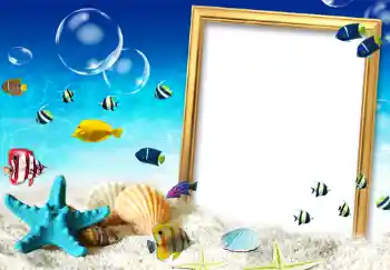 Efekt zdjęciowy z kategorii Ramki dla kobiet № 207