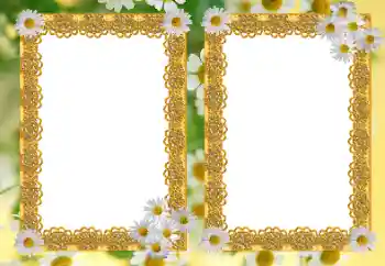 Efekt zdjęciowy z kategorii Ramki dla kobiet № 21191