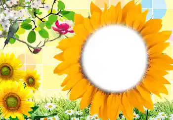 Efekt zdjęciowy z kategorii Ramki dla kobiet № 212