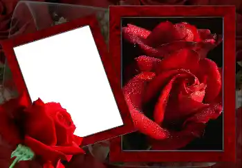 Efekt zdjęciowy z kategorii Ramki dla kobiet № 2157