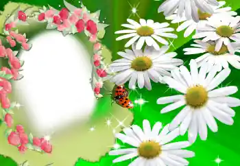 Efekt zdjęciowy z kategorii Ramki dla kobiet № 2160