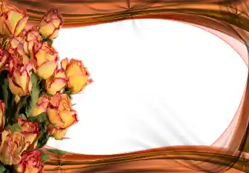 Efekt zdjęciowy z kategorii Ramki dla kobiet № 2170