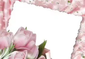 Efekt zdjęciowy z kategorii Ramki dla kobiet № 2171