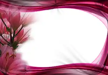 Efekt zdjęciowy z kategorii Ramki dla kobiet № 2172