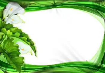 Efekt zdjęciowy z kategorii Ramki dla kobiet № 2177