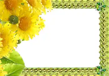 Efekt zdjęciowy z kategorii Ramki dla kobiet № 217