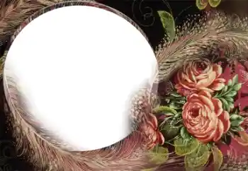 Efekt zdjęciowy z kategorii Ramki dla kobiet № 22185