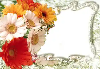 Efekt zdjęciowy z kategorii Ramki dla kobiet № 224