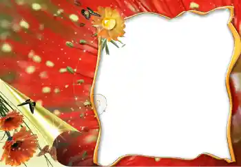 Efekt zdjęciowy z kategorii Ramki dla kobiet № 228