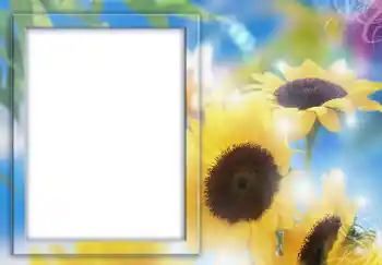 Efekt zdjęciowy z kategorii Ramki dla kobiet № 231