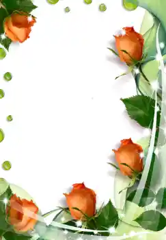 Efekt zdjęciowy z kategorii Ramki dla kobiet № 238