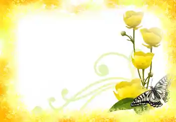 Efekt zdjęciowy z kategorii Ramki dla kobiet № 2390