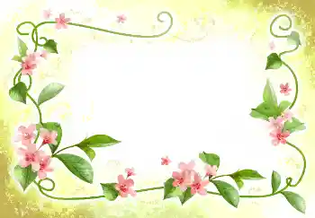 Efekt zdjęciowy z kategorii Ramki dla kobiet № 2398