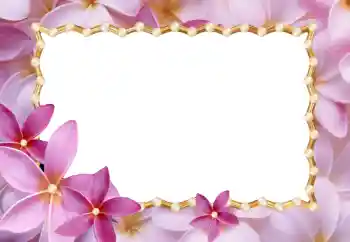 Efekt zdjęciowy z kategorii Ramki dla kobiet № 24214