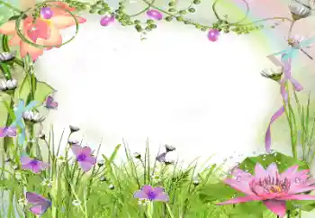 Efekt zdjęciowy z kategorii Ramki dla kobiet № 24240