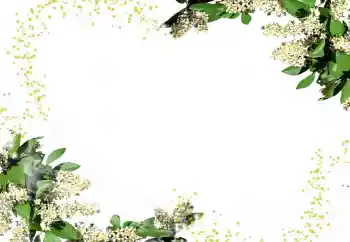 Efekt zdjęciowy z kategorii Ramki dla kobiet № 24247