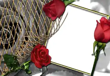 Efekt zdjęciowy z kategorii Ramki dla kobiet № 242