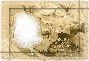 Efekt zdjęciowy z kategorii Ramki dla kobiet № 24399