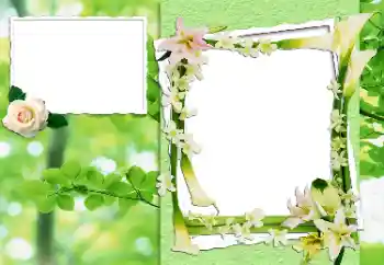 Efekt zdjęciowy z kategorii Ramki dla kobiet № 24444