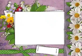 Efekt zdjęciowy z kategorii Ramki dla kobiet № 24462