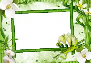 Efekt zdjęciowy z kategorii Ramki dla kobiet № 24470