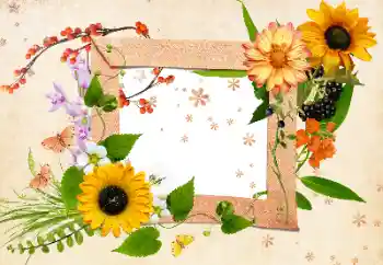 Efekt zdjęciowy z kategorii Ramki dla kobiet № 24511