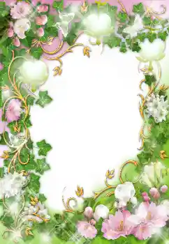 Efekt zdjęciowy z kategorii Ramki dla kobiet № 24523