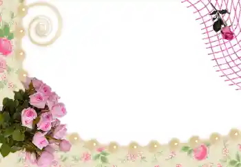 Efekt zdjęciowy z kategorii Ramki dla kobiet № 24536