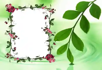 Efekt zdjęciowy z kategorii Ramki dla kobiet № 24558