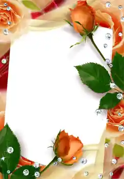 Efekt zdjęciowy z kategorii Ramki dla kobiet № 249