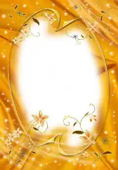 Efekt zdjęciowy z kategorii Ramki dla kobiet № 25446