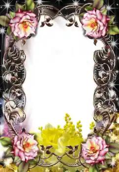 Efekt zdjęciowy z kategorii Ramki dla kobiet № 25479