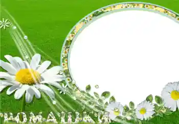 Napis na ramce: Ромашки.