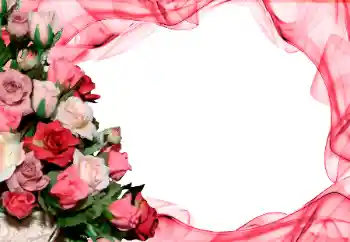 Efekt zdjęciowy z kategorii Ramki dla kobiet № 26416