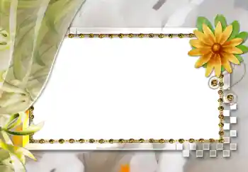 Efekt zdjęciowy z kategorii Ramki dla kobiet № 264