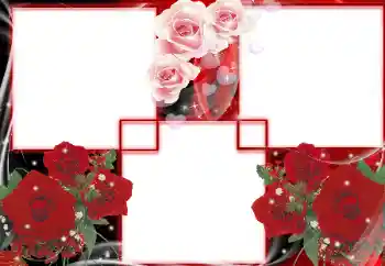 Efekt zdjęciowy z kategorii Ramki dla kobiet № 27699