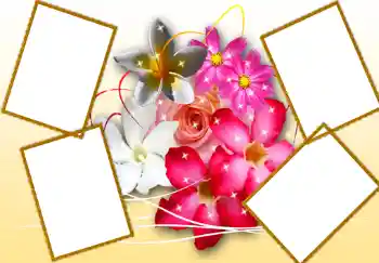 Efekt zdjęciowy z kategorii Ramki dla kobiet № 276