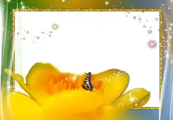 Efekt zdjęciowy z kategorii Ramki dla kobiet № 278