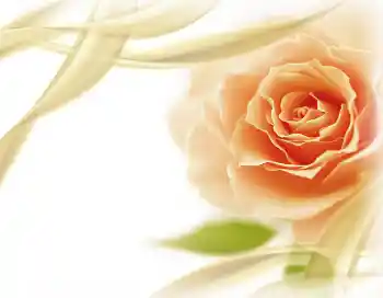 Efekt zdjęciowy z kategorii Ramki dla kobiet № 2801